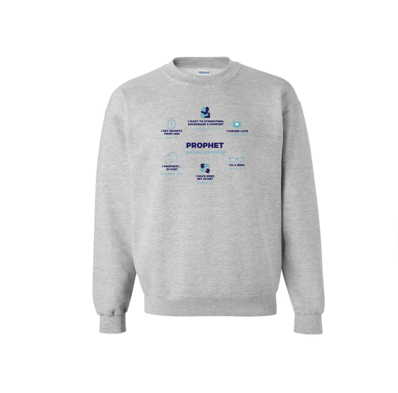 PROPHET DEFINED grey sweatshirt