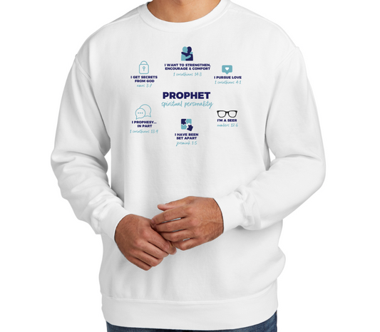 PROPHET DEFINED luxury white sweatshirt